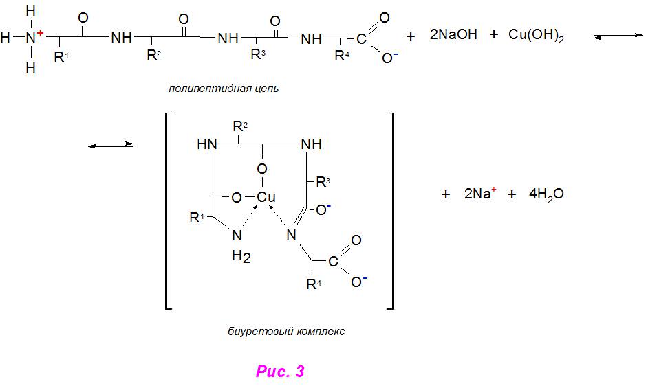 Гидролиз гидроксида меди 2. Биуретовая реакция химизм реакции. Биуретовая реакция на пептидную связь. Яичный альбумин биуретовая реакция. Уравнение биуретовой реакции белка.